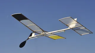 Science Olympiad Flight Review 2024: Lasercutplanes Western Tanager Div. C