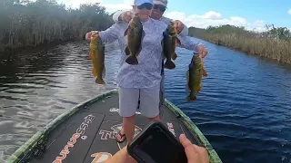 Peacock Bass in the Everglades with Bassonline.com guide Mark Rose