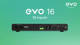 EVO 16 Audio Interface - Instrument Inputs