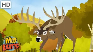 A Deer Sparring Match | Wild Kratts