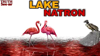 Lake Natron: The Deadliest Lake On The Earth