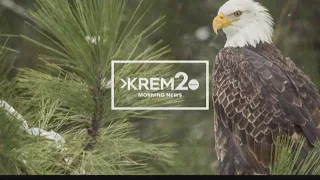 KREM News 7 a.m., Feb. 20, 2019