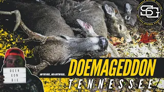 WE SHOT 5 DEER IN 1 DAY IN TENNESSEE! | Breaking In My New Ruger American Rifle