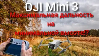 dji mini 3 дальность полета