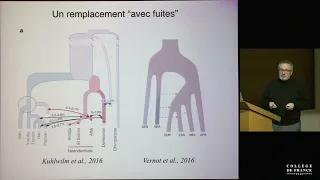 Homo sapiens : l'espèce orpheline (9) - Jean-Jacques Hublin (2016-2017)