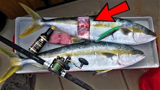 Beautiful Catch and Sashimi ON THE BOAT! *Raw Fish*  EPIC Yellowtail Action!!!!