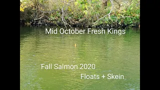 King Salmon Bobber Down - Mid October Fresh Kings - Floats + Skein - Fall 2020