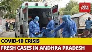 Coronavirus: 2 Test Positive In Andhra Pradesh, Total 8 Active Cases