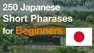 250 Japanese Short Phrases for Begineers (You Should Use) - Slow