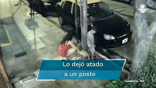 Mujer abandona a su perro en Navidad; video se vuelve viral