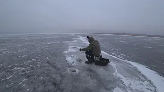 Судак на МОРМЫШКУ! Зимняя рыбалка на Волге! Рыбалка на СУДАКА!