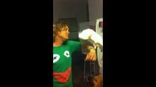 Crazy Cockatoo Dancing