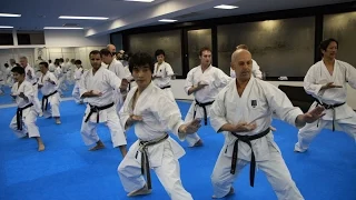 Mikio Yahara: Tsuki Waza. Training in KWF Honbu Dojo 2012