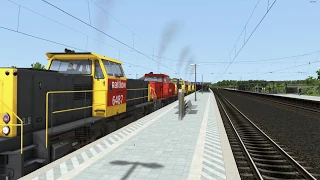 DTG Trainsimulator 2019: 5x6400 Railion + 40 erts/ore wagons 6 axers, see real movie to compare!