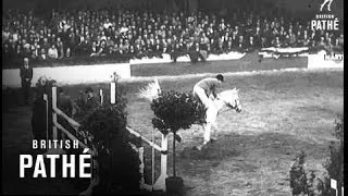 Show Jumping Grand Prix (1964)