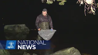 Mi’kmaw fisher harvesting baby eels dumps catch as DFO moves in | APTN News