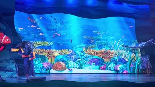 NEMO LIVE clip @ DISNEY’S Animal Kingdom 2023!