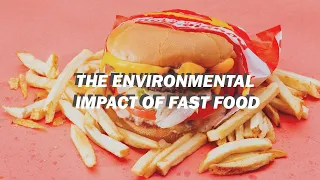 The Environmental Impact of Fast Food // + tips for sustainable fast food