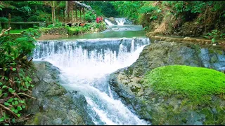 The most beautiful nature sounds, calming river sound in the morning, ASMR