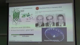 Пётр Брежестовский Оптофармакологическая модуляция