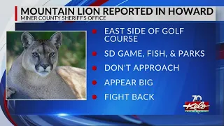 Mountain lion spotted in Howard