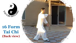 16 Form Tai Chi (Demo, back view)