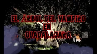 El Árbol del Vampiro en Guadalajara