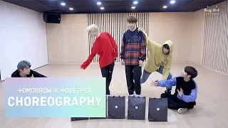 TXT (투모로우바이투게더) ‘Cat & Dog’ Dance Practice (Animal ver.)