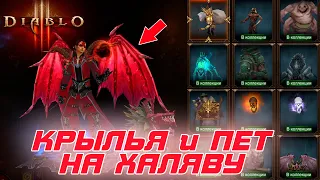 Diablo 3: BLIZZARD дарит всем игрокам КРЫЛЬЯ и ПИТОМЦА в честь Diablo Immortal