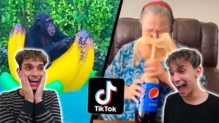 Funny TikTok Videos To Watch When You're BORED!