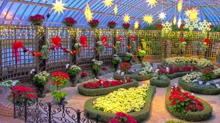 Only in Pittsburgh: Phipps Conservatory and Botanical Gardens