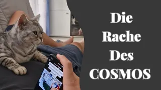 Cosmo rächt sich an mir für meine Faulheit