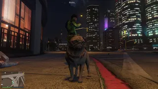 Grand Theft Auto V Peyote Plant Fun