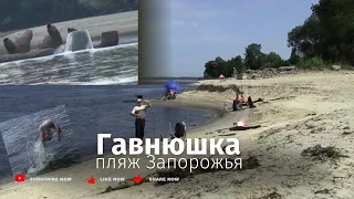 Новый пляж Запорожья «ГАВНЮШКА». Рыбалка в черте города 02.07.23 г.