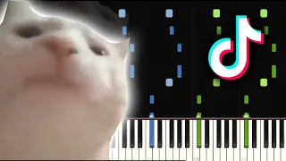 Cat Vibing to Ievan Polkka MEME - Piano tutorial