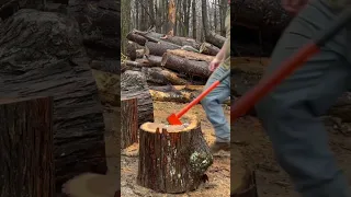 16 lb maul vs gnarly Hickory: #splittingfirewood