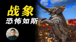 《全面战争三国》南蛮众将人均吕布？巨象将领恐怖如斯！Total War THREE KINGDOMS