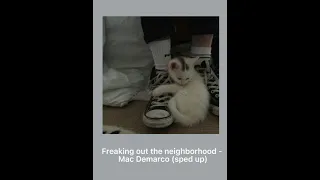 Mac Demarco - Freaking out the neighborhood (sped up)