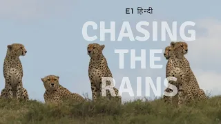 CHASING THE RAINS E1 HINDI DOCUMENTARY ANIMAL PLANET FULL EPISODE