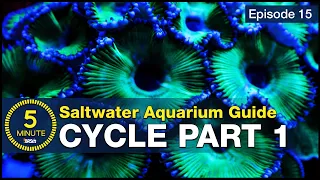 Cycle your saltwater aquarium. Step 1: A new reefer's guide to ammonia and the nitrogen cycle