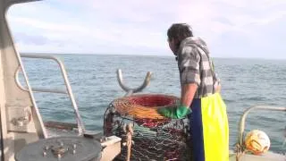 'Roadtrip' with Mickey D & Damian Callinan - Port Macdonnell Town Challenge - Cray Boat