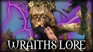 Witcher 3 - The Tragedy of Noonwraiths & Nightwraiths - Witcher Lore & Mythology