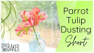 Parrot Tulip Dusting ⎸#Shorts # YoutubeShorts ⎸Cake Decorating Tutorials