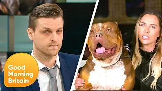 American XL Bully Breeder Outraged By Potential UK Ban | Good Morning Britain