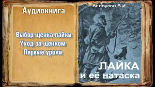 "Выбор щенка. Уход за щенком. Первые уроки" "Лайка и её натаска" Белоусов В.И