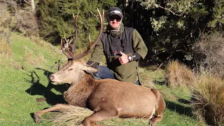 Red Deer. First Deer For The Boys, Goats And Great Shots. NZ Hunting.