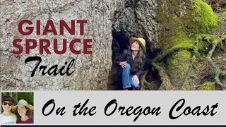 Giant Spruce Trail: Hike Among the Giants at Cape Perpetua!
