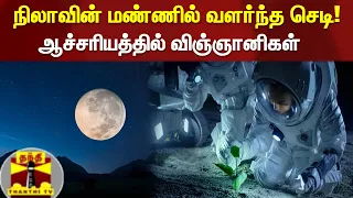 நிலாவின் மண்ணில் வளர்ந்த செடி! - ஆச்சரியத்தில் விஞ்ஞானிகள்  | Moon