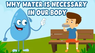 Why water is necessary in our body | Why do we drink water? | Importance of water | Video for kids