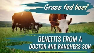 Grass Fed Beef vs Grain Fed Benefits from a Doctor and Rancher's Son